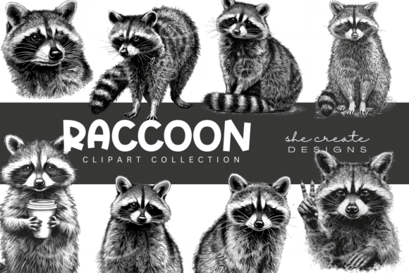 Enchanting Raccoon Clipart: Your Next Design Essential